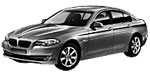 BMW F10 U226U Fault Code